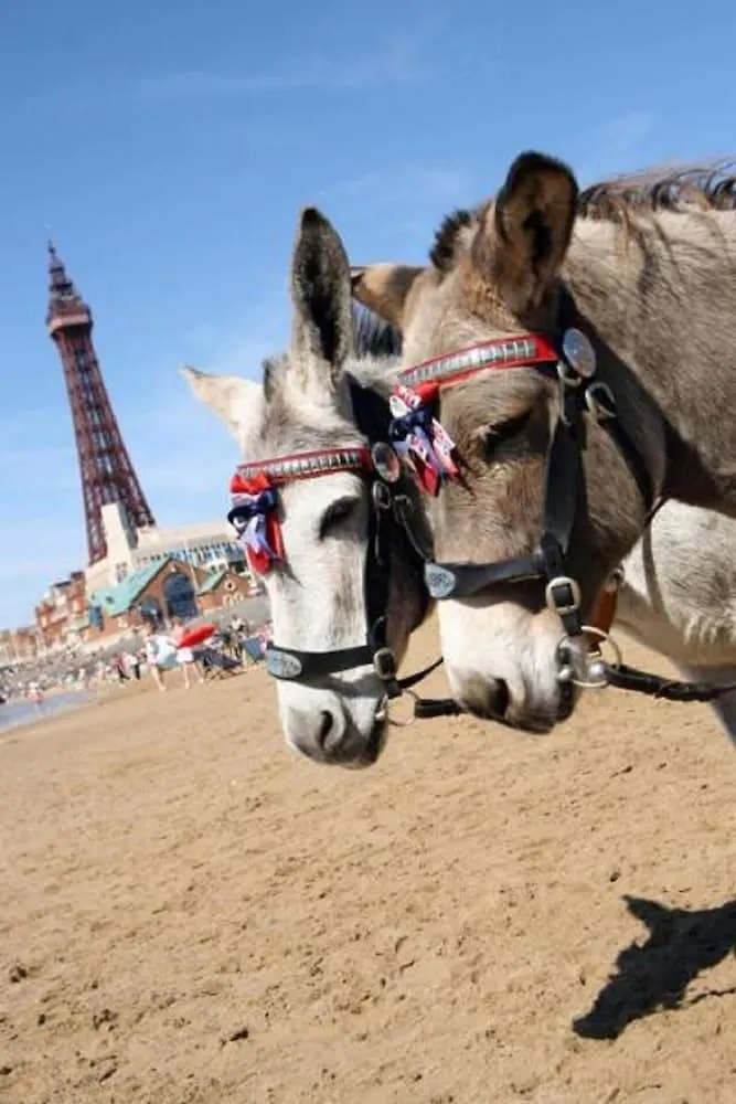 The Savoy Hotel (Adults Only) Blackpool United Kingdom